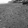 Spiaggia solitaria d&#039;inverno